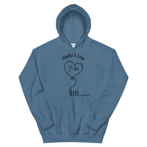Hooke's Law x aviatorballoons Hoodie