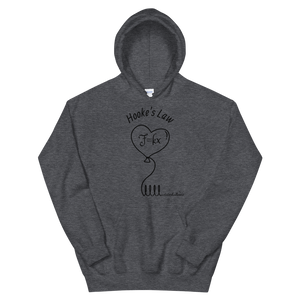 Hooke's Law x aviatorballoons Hoodie